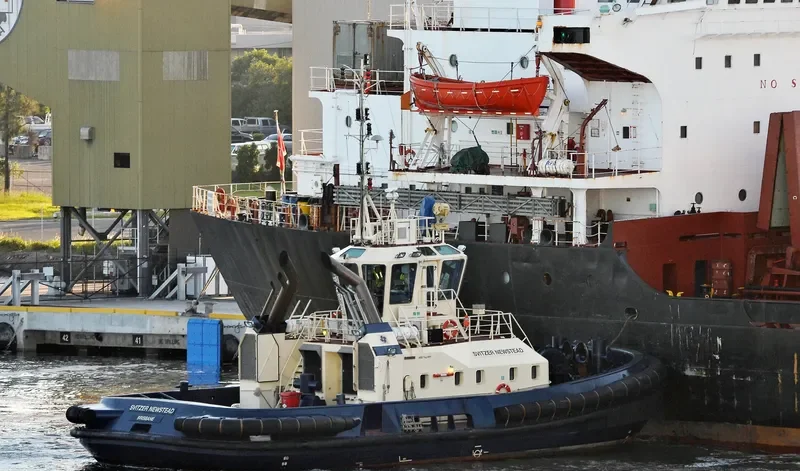 SVITZER NEWSTEAD General Cargo IMO 9366897