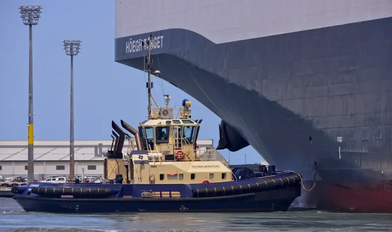 SVITZER NEWSTEAD General Cargo IMO 9366897 photo 6