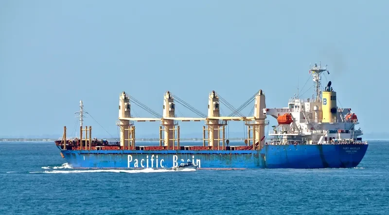 PORT ANGELES Bulk Carrier IMO 9367621 photo 3