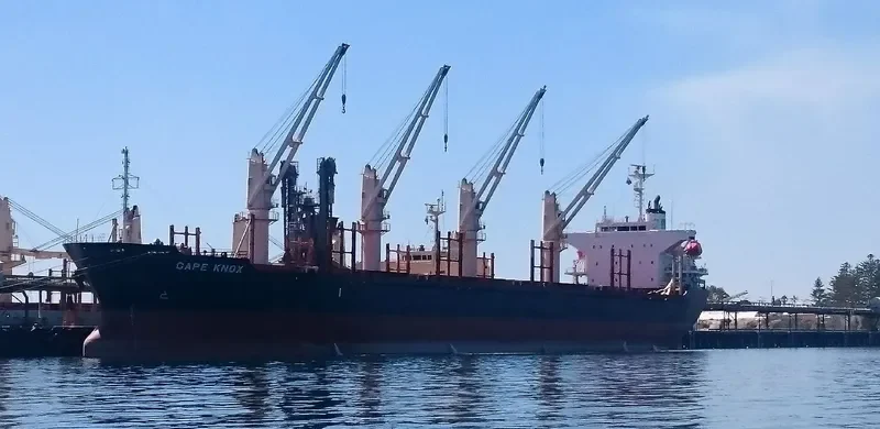 KONDILI Bulk Carrier IMO 9367633 photo 2