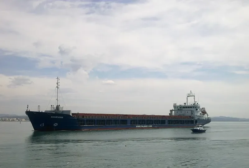 TAGUS RIVER General Cargo IMO 9368596 photo 5