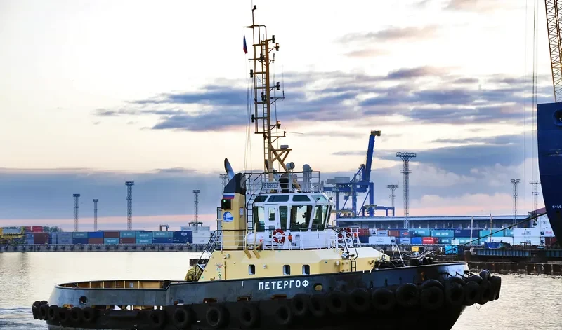 PETERGOF General Cargo IMO 9368651