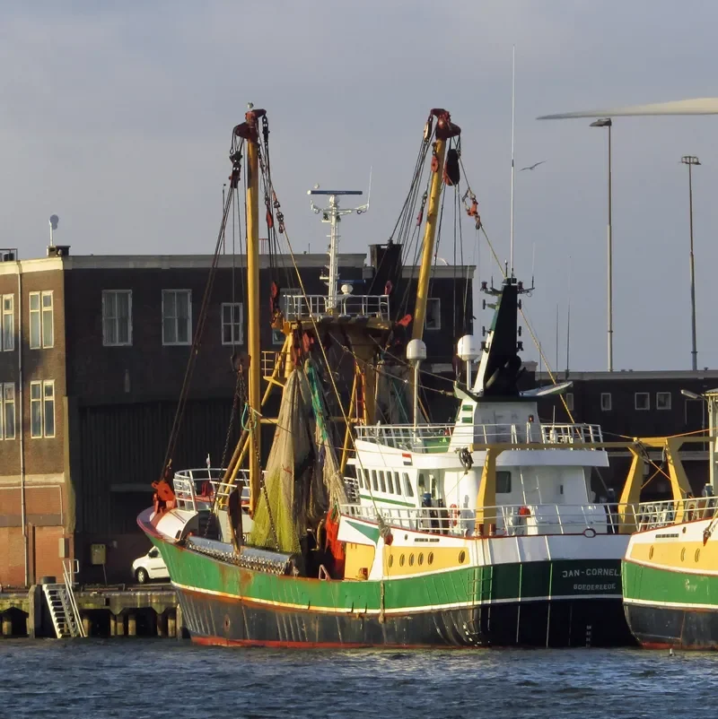 JAN CORNELIS General Cargo IMO 9368663