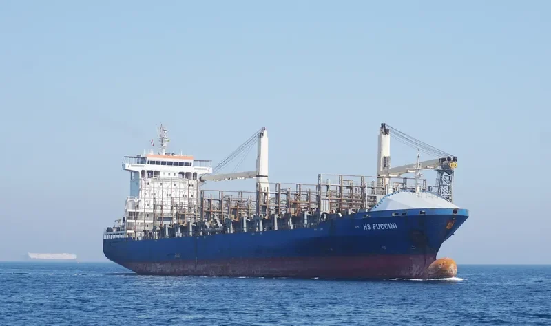 EF ELENA Container Ship IMO 9368730
