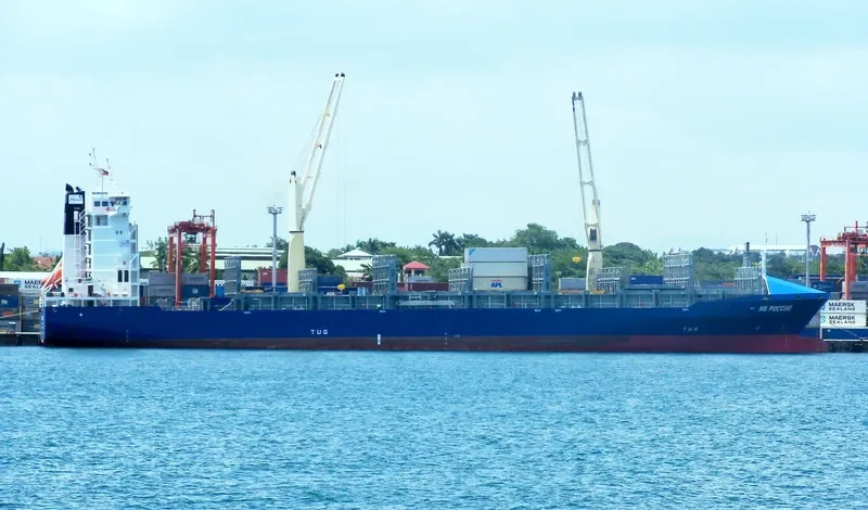 EF ELENA Container Ship IMO 9368730 photo 3