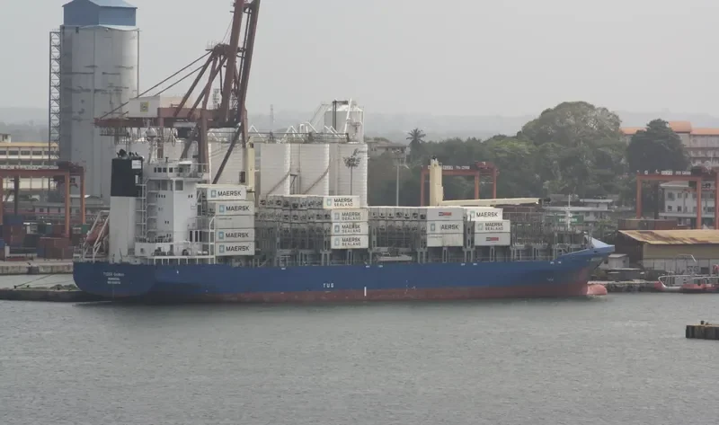 EF ELENA Container Ship IMO 9368730 photo 5
