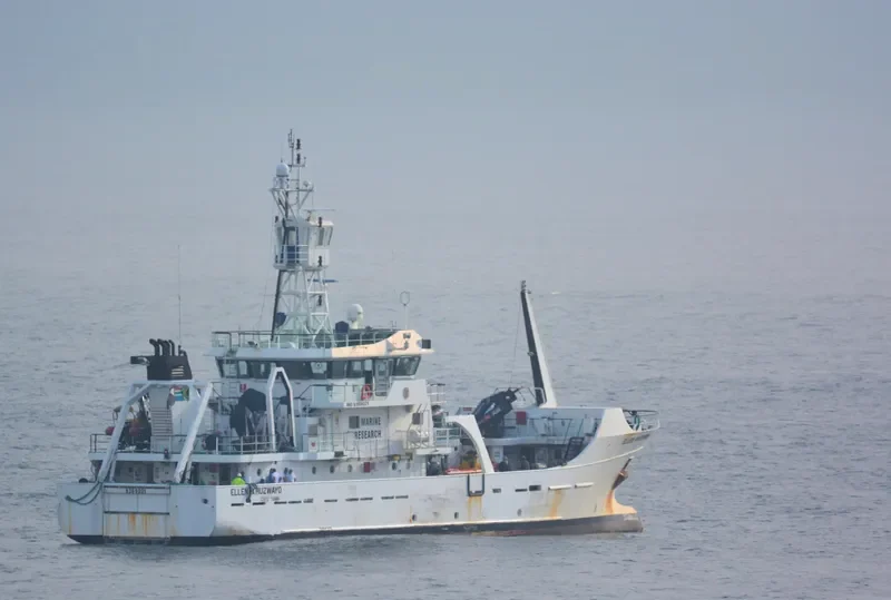 ELLEN KHUZWAYO General Cargo IMO 9369021