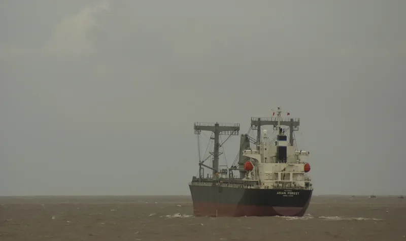 ASIAN FOREST General Cargo IMO 9369112