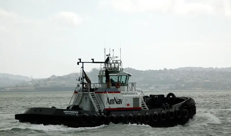 INDEPENDENCE General Cargo IMO 9369239 photo 6