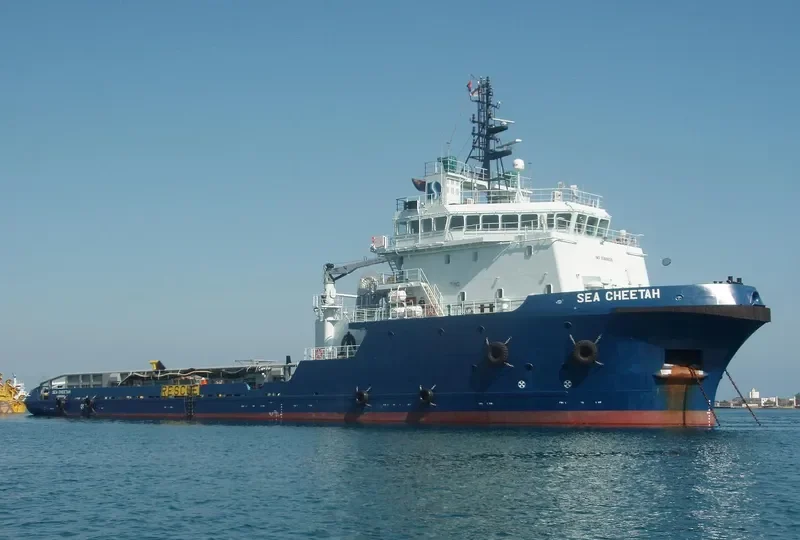 SEA CHEETAH Offshore Vessel IMO 9369629