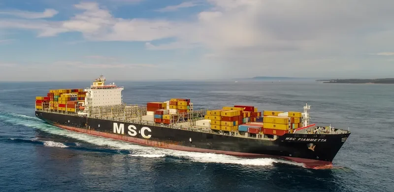 MSC FIAMMETTA Container Ship IMO 9369758 photo 4