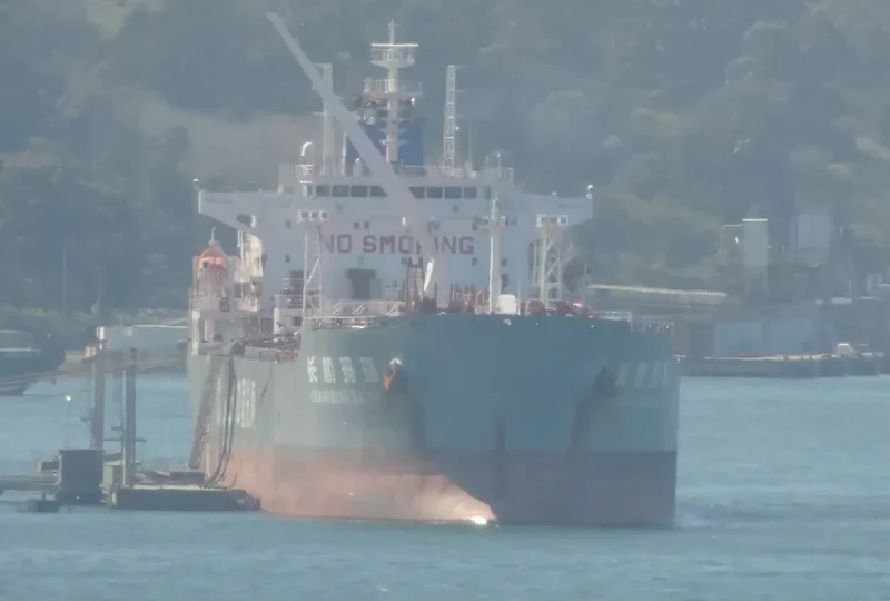 C H S WORLD Bulk Carrier IMO 9369851