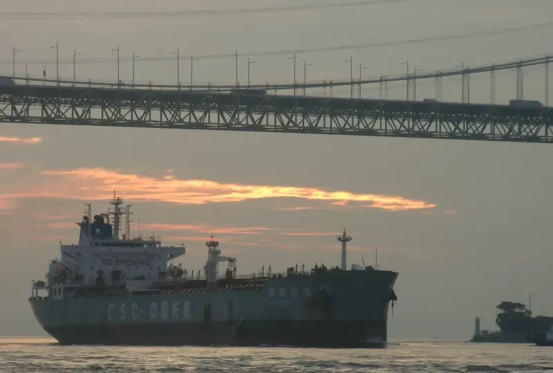 C H S WORLD Bulk Carrier IMO 9369851 photo 5