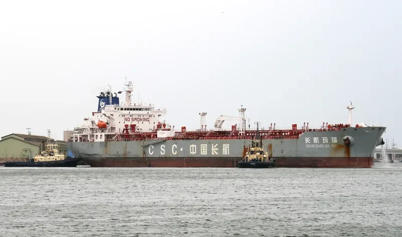C H S WORLD Bulk Carrier IMO 9369851 photo 6