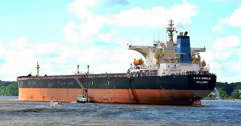 C H S WORLD Bulk Carrier IMO 9369851 photo 9