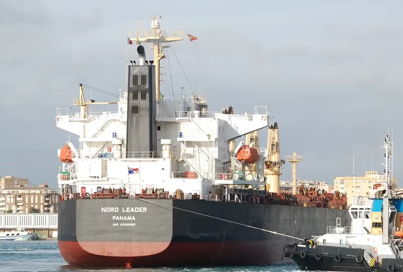 ALEGRE III Bulk Carrier IMO 9369980 photo 4