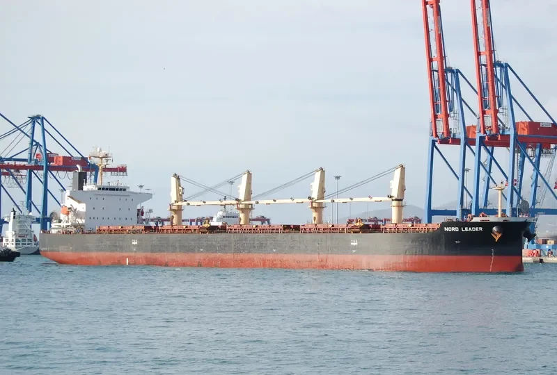 ALEGRE III Bulk Carrier IMO 9369980 photo 6