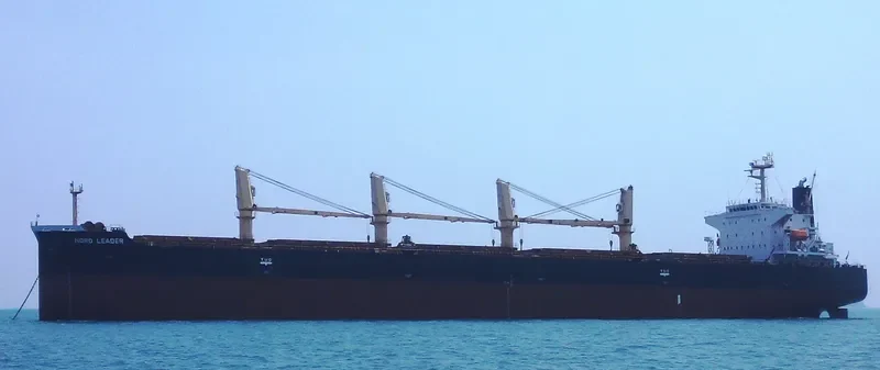 ALEGRE III Bulk Carrier IMO 9369980 photo 8