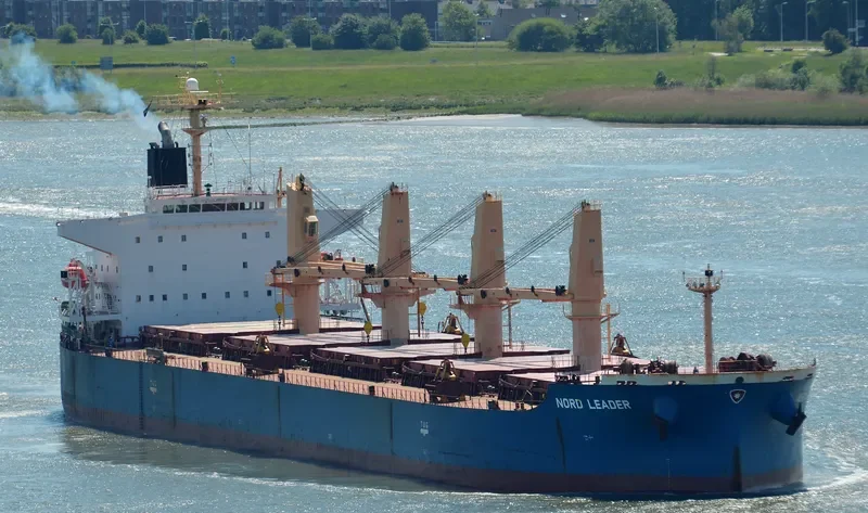 ALEGRE III Bulk Carrier IMO 9369980 photo 10