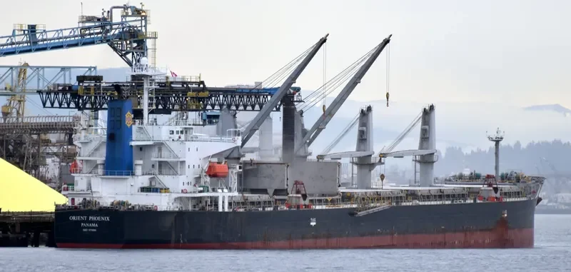 STRAITS BAY Bulk Carrier IMO 9370006 photo 6
