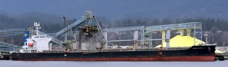 STRAITS BAY Bulk Carrier IMO 9370006 photo 7