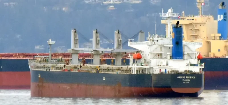 STRAITS BAY Bulk Carrier IMO 9370006 photo 10