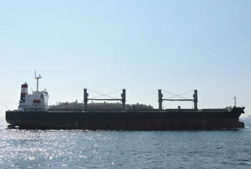 UNITY Bulk Carrier IMO 9370044 photo 3