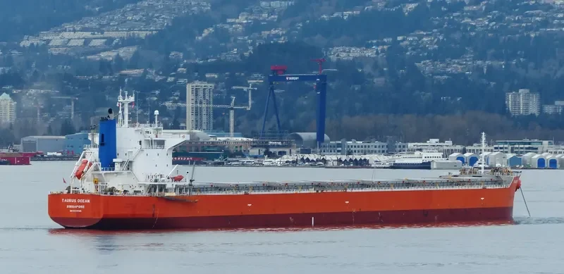 BLUE BOSPORUS Bulk Carrier IMO 9370185 photo 5