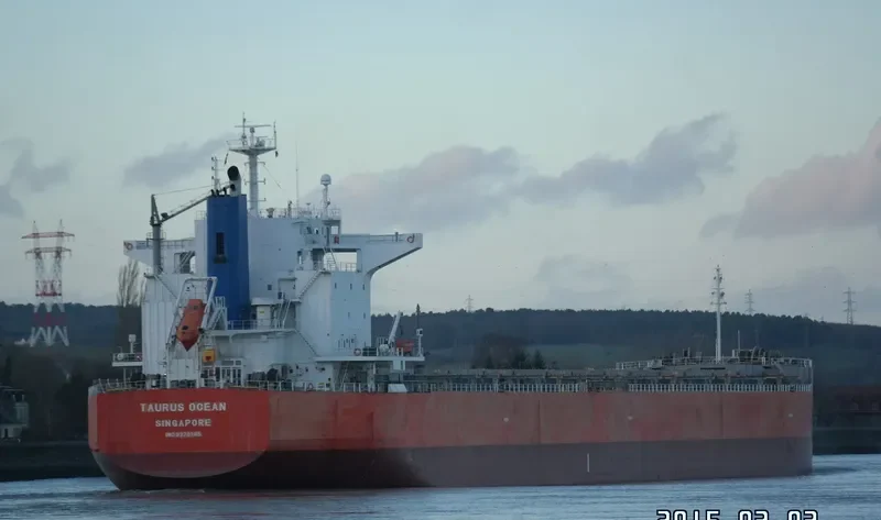 BLUE BOSPORUS Bulk Carrier IMO 9370185 photo 9