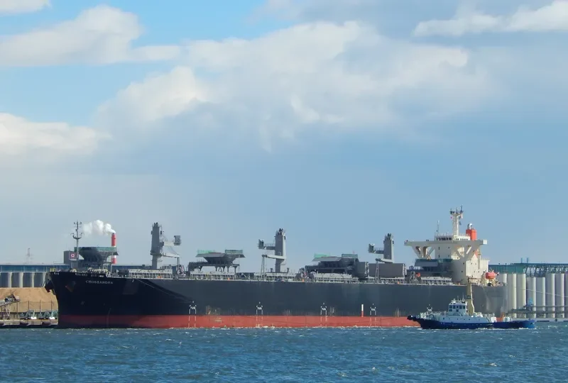 CROSSANDRA Bulk Carrier IMO 9370226 photo 2