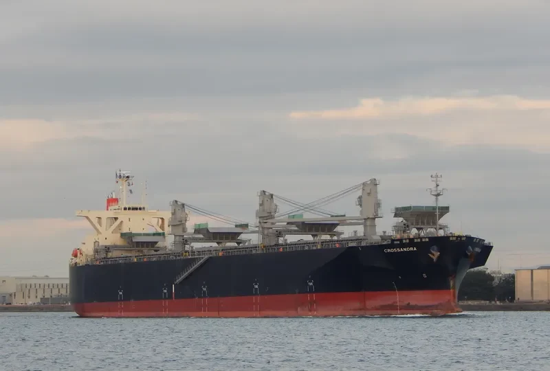 CROSSANDRA Bulk Carrier IMO 9370226 photo 3