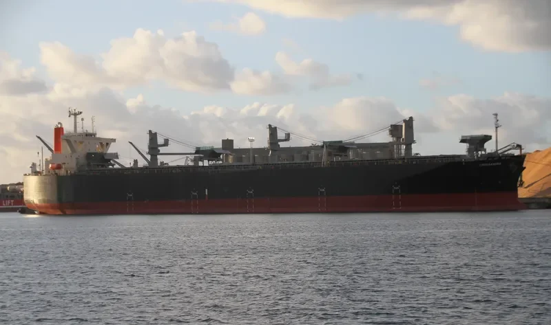 CROSSANDRA Bulk Carrier IMO 9370226 photo 4