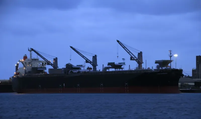 CROSSANDRA Bulk Carrier IMO 9370226 photo 6