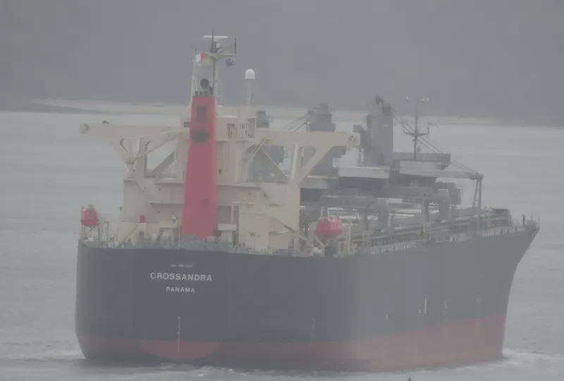 CROSSANDRA Bulk Carrier IMO 9370226 photo 10