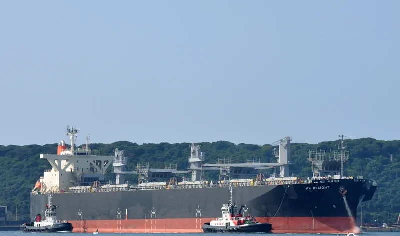 HK DELIGHT Bulk Carrier IMO 9370238 photo 2