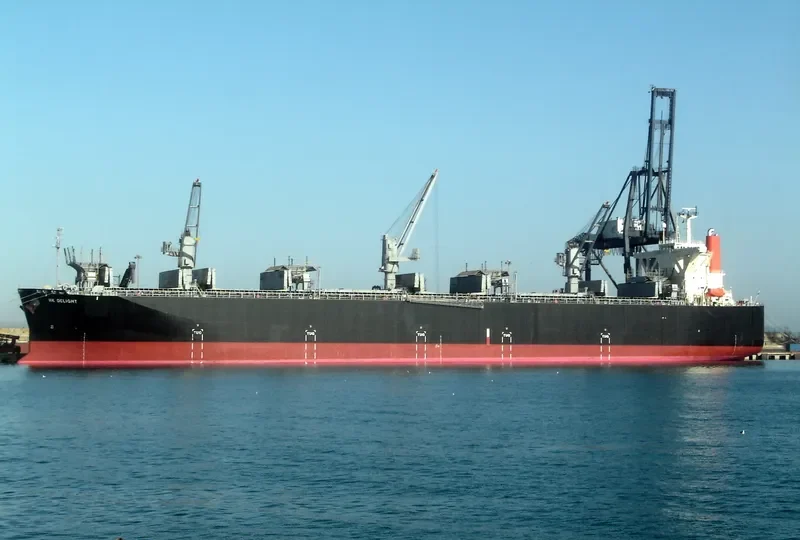 HK DELIGHT Bulk Carrier IMO 9370238 photo 4
