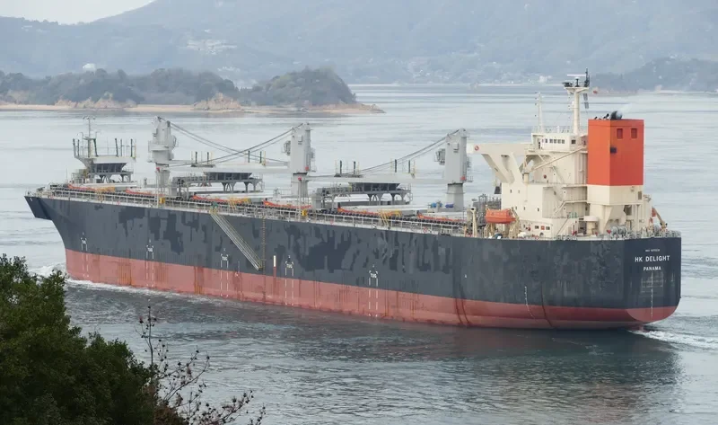 HK DELIGHT Bulk Carrier IMO 9370238 photo 5