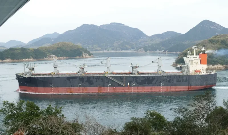 HK DELIGHT Bulk Carrier IMO 9370238 photo 7