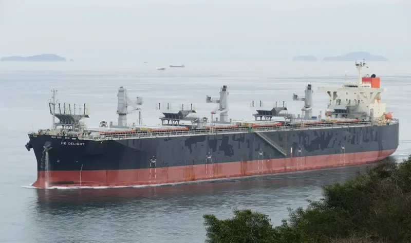 HK DELIGHT Bulk Carrier IMO 9370238 photo 8