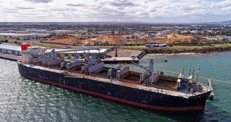 HK DELIGHT Bulk Carrier IMO 9370238 photo 9