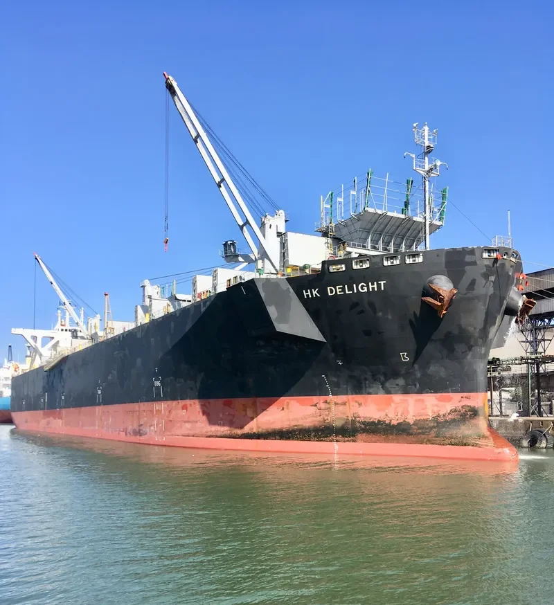 HK DELIGHT Bulk Carrier IMO 9370238 photo 10