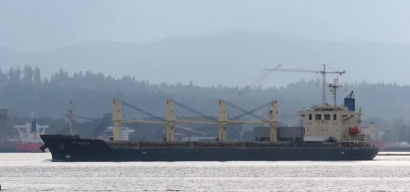 OBE DINARES General Cargo IMO 9370367