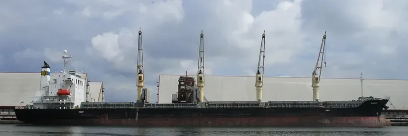 KAMBOS Bulk Carrier IMO 9370408 photo 2