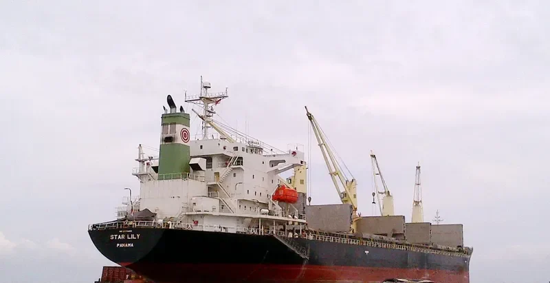 ASSAY Bulk Carrier IMO 9370422 photo 3