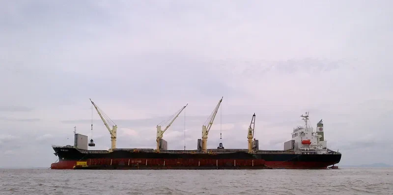 ASSAY Bulk Carrier IMO 9370422 photo 5