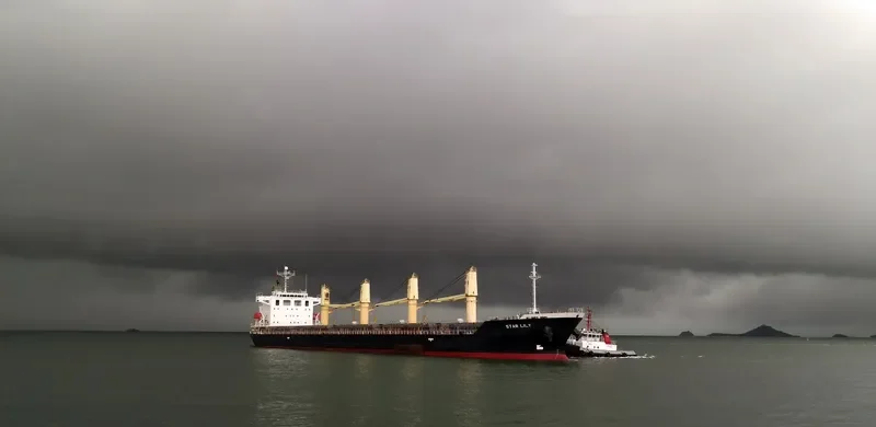 ASSAY Bulk Carrier IMO 9370422 photo 7