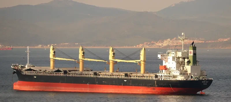 ASSAY Bulk Carrier IMO 9370422 photo 10