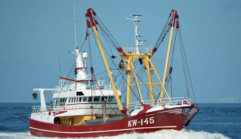 CATHARINA General Cargo IMO 9370496 photo 2