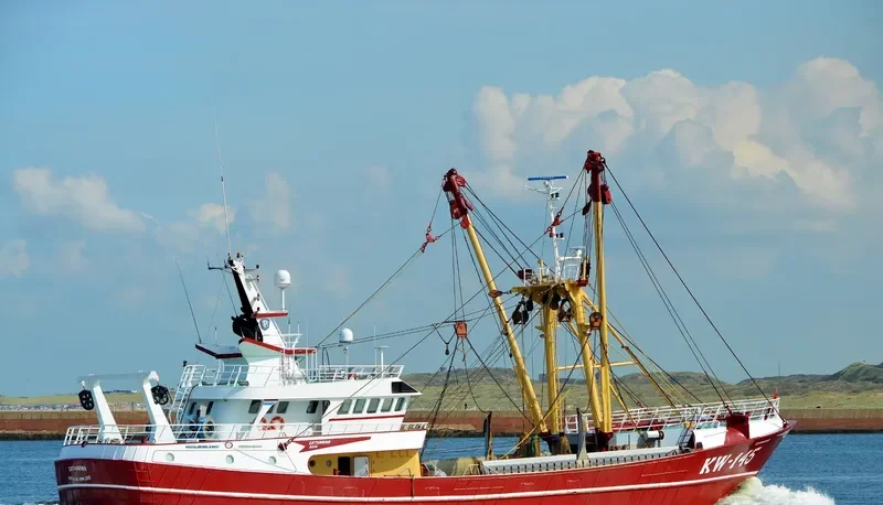 CATHARINA General Cargo IMO 9370496 photo 3