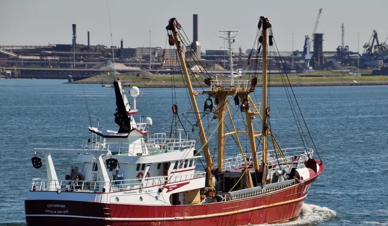 CATHARINA General Cargo IMO 9370496 photo 7
